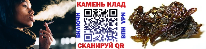 ГАШ ice o lator  Реутов 