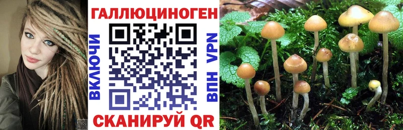 Псилоцибиновые грибы Psilocybe  Реутов 